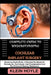 Complete Guide to Understanding Cochlear Implant Surgery: Mastering Scala Media, A Detailed Handbook On Procedures, Techniques, And Postoperative Care by Klein Hoyle
