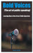 Bold Voices (The art of public speaking): Learning How to Give Brave Public Speeches by Evans Roche