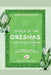 Oracle of the Orishas: The Voice of Nature - Cowrie Shell Divination in Brazil by Alexandre Marques