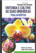 ENTENDA E CULTIVE AS SUAS ORQUÍDEAS Phalaenopsis by Yanagisawa, Sergio Shoji