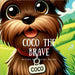 Coco The Brave by Daian Books