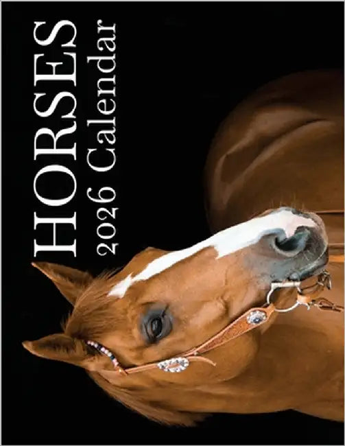 Horses 2026 Calendar by Patrick, B.