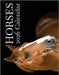 Horses 2026 Calendar by Patrick, B.