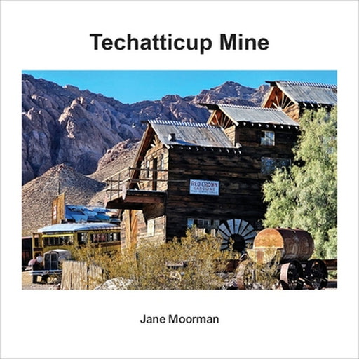 Techatticup Mine by Jane Moorman