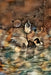 The Artwork of 3ichael 7ambert: Volume V by Michael Andrew Lambert