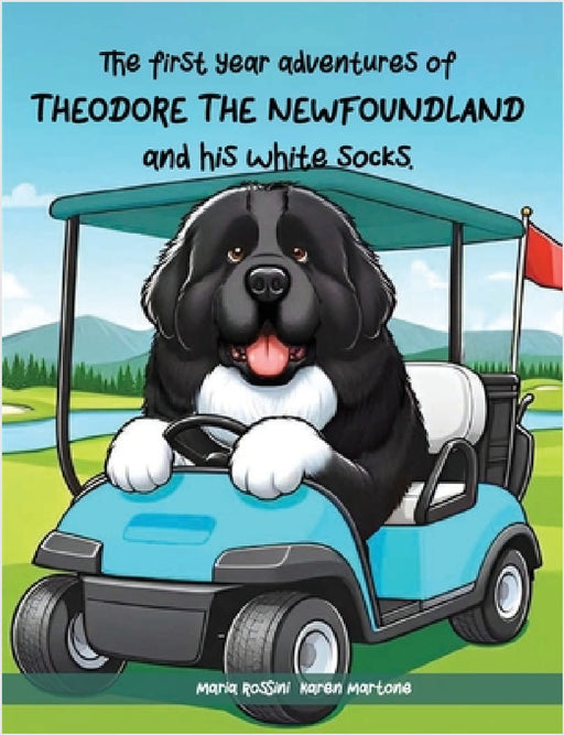 The First Year Adventures Of Theodore The Newfoundland And His White Socks by Maria Rossini Karen Martone