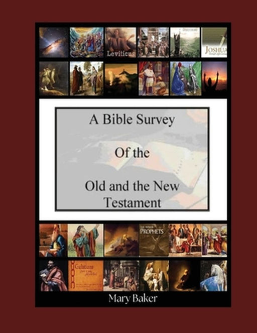 Bible Survey of the Old and New Testament by Mary Baker