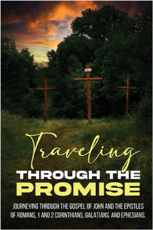 Traveling Through the Promise by Tim W. Gould