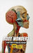 Body Wonders: A Kid's Guide to Amazing Anatomy by Brian Thomas
