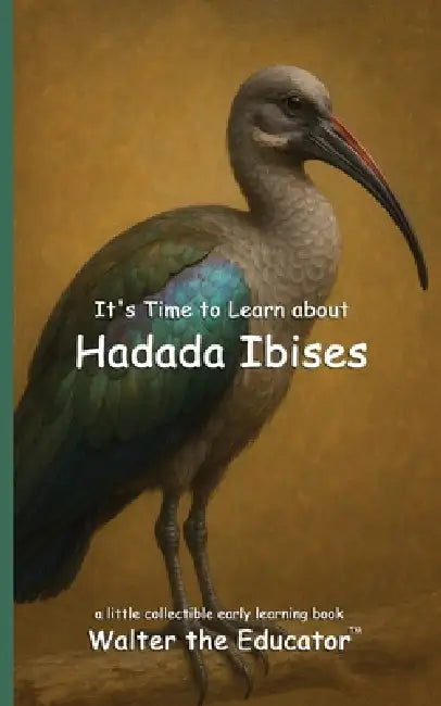 It's Time to Learn about Hadada Ibises by Walter the Educator
