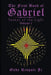 The First Book of Gabriel: Seeker of the Light Volume 1 by Gabe Rispoli