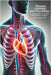 Human Anatomy and Physiology: A Comprehensive Review For the Healthcare Student by Dragon, Kelly