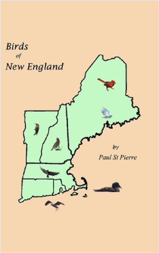 Birds of New England by Paul St Pierre