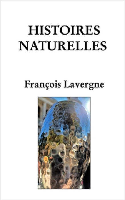 Histoires by François Lavergne