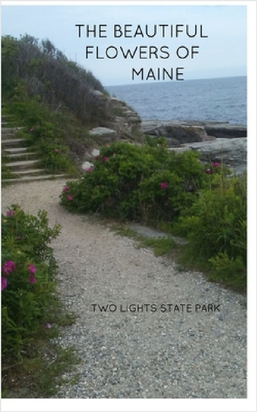 The Beautiful Flowers of Maine by Sandra Fordyce