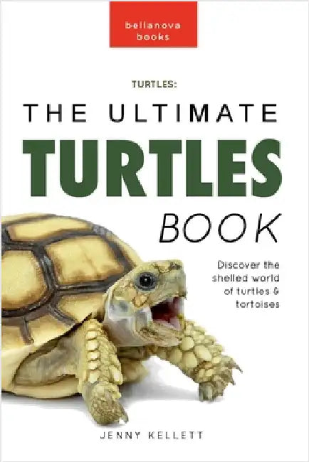 Turtles The Ultimate Turtles Book: Discover the Shelled World of Turtles & Tortoises by Jenny Kellett