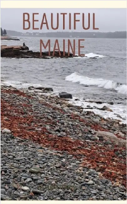 Beautiful Maine by Fordyce, Sandra