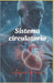 Sistema circulatorio by Clarke Steve