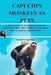 Capuchin Monkeys as Pets: A Complete Guide to Capuchin Monkeys Ownership, Pros, Cons, Considerations, Diets, Health, Habitat, Behavior Etc by Morris Hart