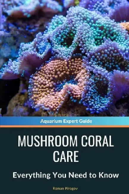 Mushroom Coral Care: Everything You Need to Know by Roman Pirogov