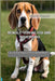 Beagle-Verhalten Und Gehorsam: Ein vollständiges Schulungshandbuch" by Williams, Francis