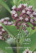 Distilled Lives: Volume 7 by Lennart Lundh