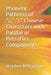 Phonetic Patterns of "z," "c" Chinese Characters with Palatal or Retroflex Components by Stephen M. Kraemer