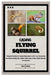 Raising Flying Squirrel: A Complete Handbook for Keeping Flying Squirrel as Pet: Learn Step-by-Step Pet Owners Breeding Tips, Feeding, Habitat by Marie E. Barker