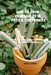 How To Grow Vegetables In Pots & Containers: Step-by-Step Guide to Growing Organic food in Small Spaces by Kira Hams
