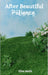 After Beautiful Patience: Inspirational Islamic Reminders, Poems, and Reflections by Elias Malik
