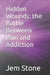 Hidden Wounds: the Battle Between Pain and Addiction by Jem Amber Stone