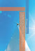 Sustainability Careers: Pathways to a Greener Future: Comprehensive Guide to Green Jobs, Educational Pathways, and Professional Growth by Robert C. Brears