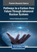 Pathways to a Carbon-Free Future Through Advanced Nuclear Systems by Shrikaant Kulkarni