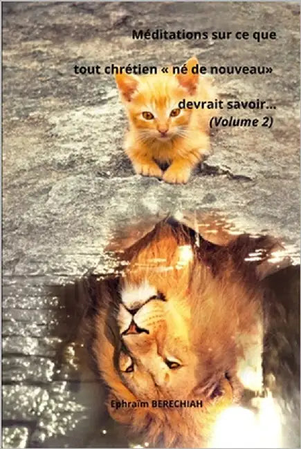 Méditations sur ce que tout chrétien né de nouveau devrait savoir...(Volume 2) by Berechiah, Ephraïm