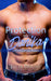 Protection For Danika: A SEAL Romance by Julia Bright