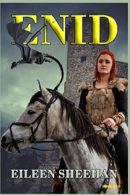 ENID (Book 1) by Eileen Sheehan