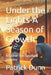Under the Lights-A Season of Growth: A Father-Son Baseball Journey by Patrick Dunn