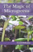The Magic of Microgreens: Radish by Errol Williams