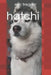 Hatchi