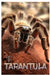 The Tarantula: The Silent Predators and their Cultural Legacy by Lynn R. Holston