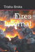 Fires Infernal by Trisha Sroka