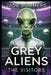 Grey Aliens The Visitors by Jade Summers