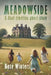 Meadowside: A dual timeline ghost story by Kate Winters