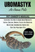 Uromastyx as Home Pets: Everything You Need To Know About Uromastyx Keeping, Breeding, Housing, Feeding And Nutrition, Health Care, Conversati by Raph Francis