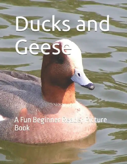 Ducks And Geese