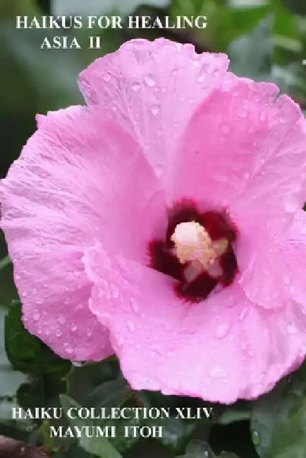 Haikus for Healing: Asia II by Mayumi Itoh