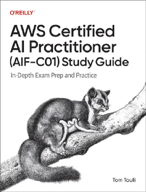 AWS Certified AI Practitioner (Aif-C01) Study Guide: In-Depth Exam Prep and Practice by Tom Taulli