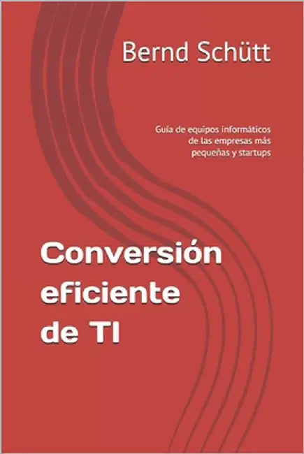 Conversión eficiente de TI: Guía de equipos informáticos de las empresas más pequeñas y startups by Schütt, Bernd