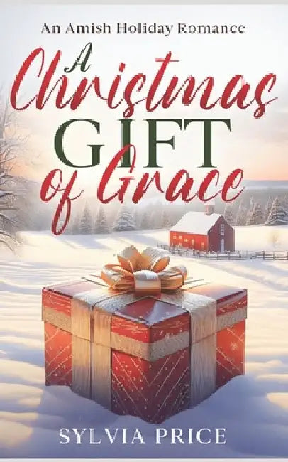 A Christmas Gift of Grace: An Amish Holiday Romance by Tandy O