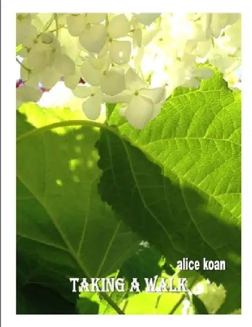 Taking a walk by Allice Koan